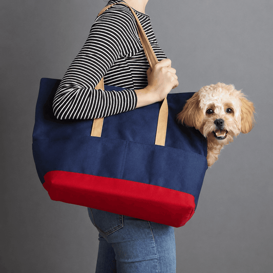 Canvas Pet Tote Zapawzy