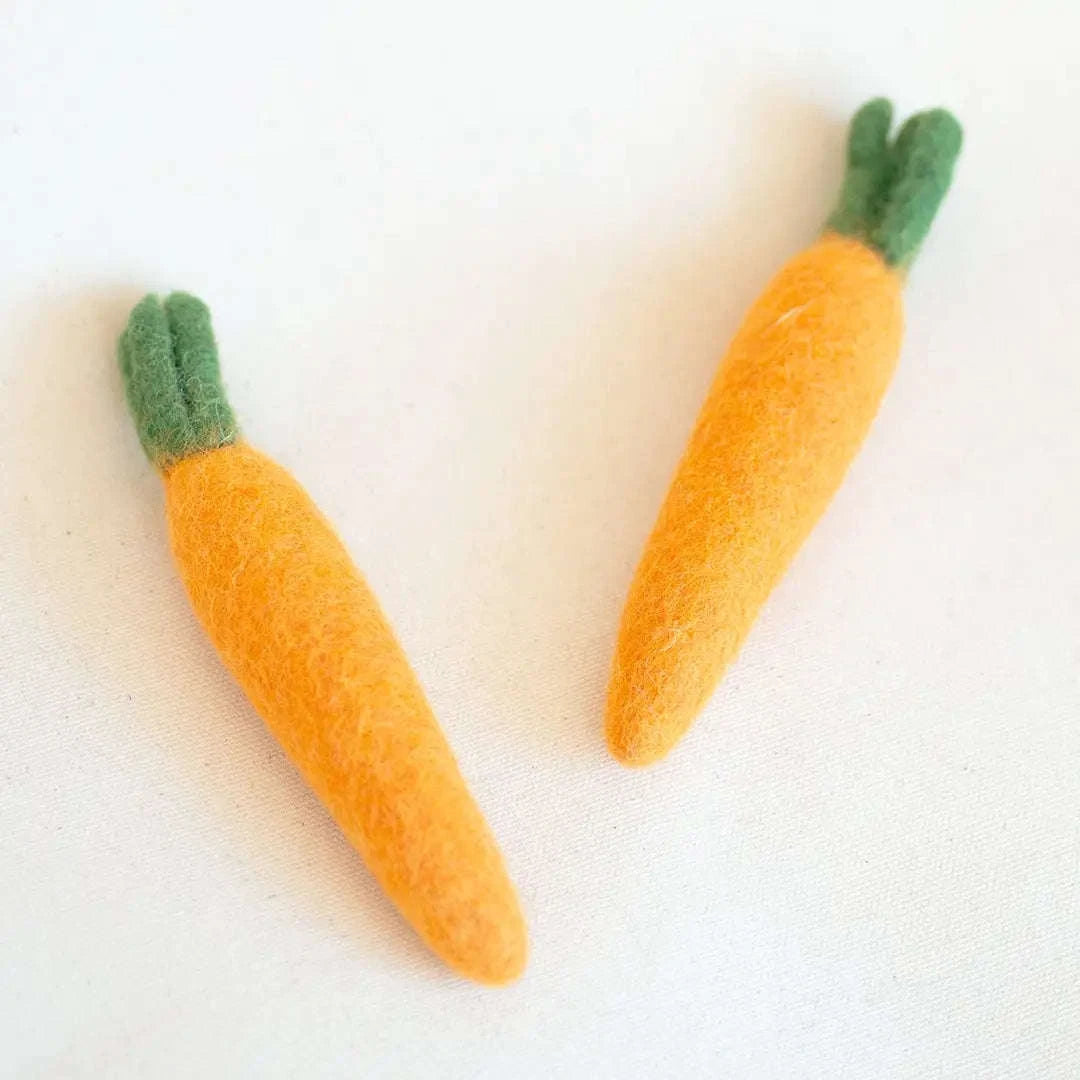 Carrot Wool Dog & Cat Toy Zapawzy