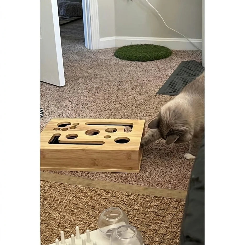 Interactive Scratching Cat Puzzle Box – Self-Grooming Claw Trimmer with Treat Foraging Enrichment