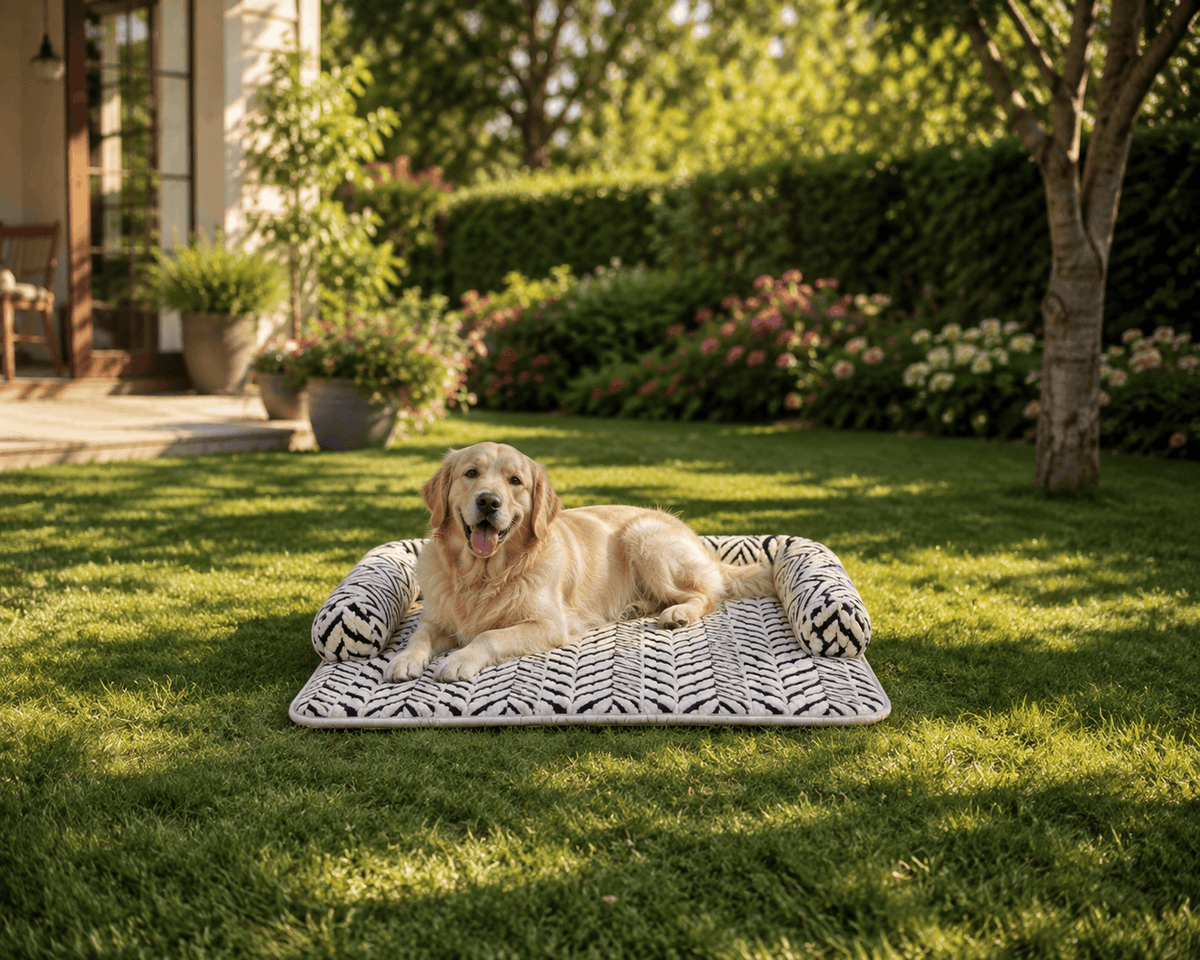Bolster Dog Couch Mat – Furniture Pet Bed with Raised Headrest for Sofas and Chairs Zapawzy
