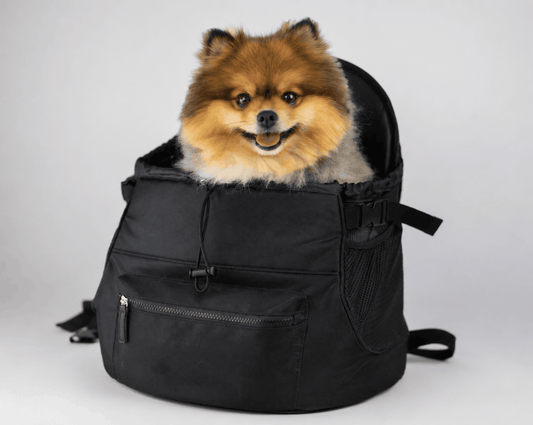 Pet Backpack Carrier Zapawzy