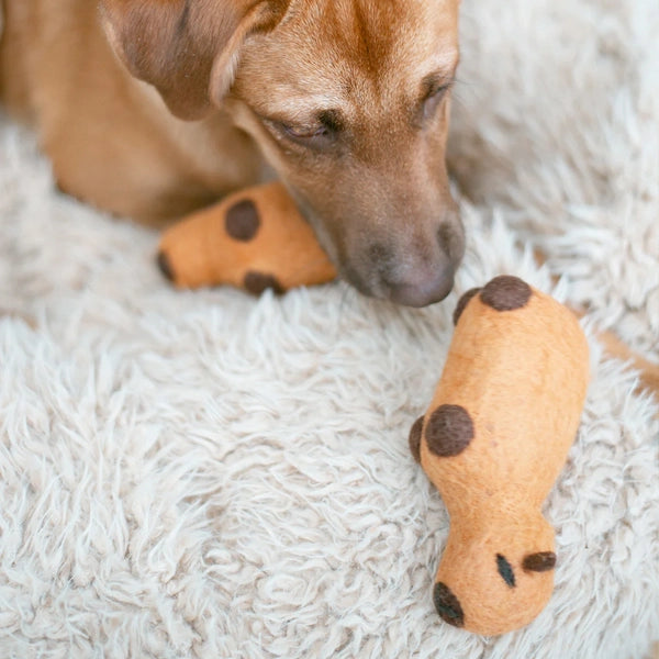 Capybara Wool Dog Toy