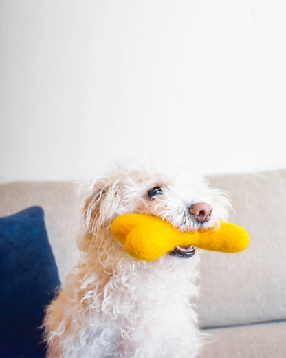 Classic Woolbone Dog Toy