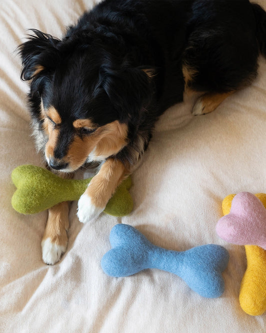 Classic Woolbone Dog Toy