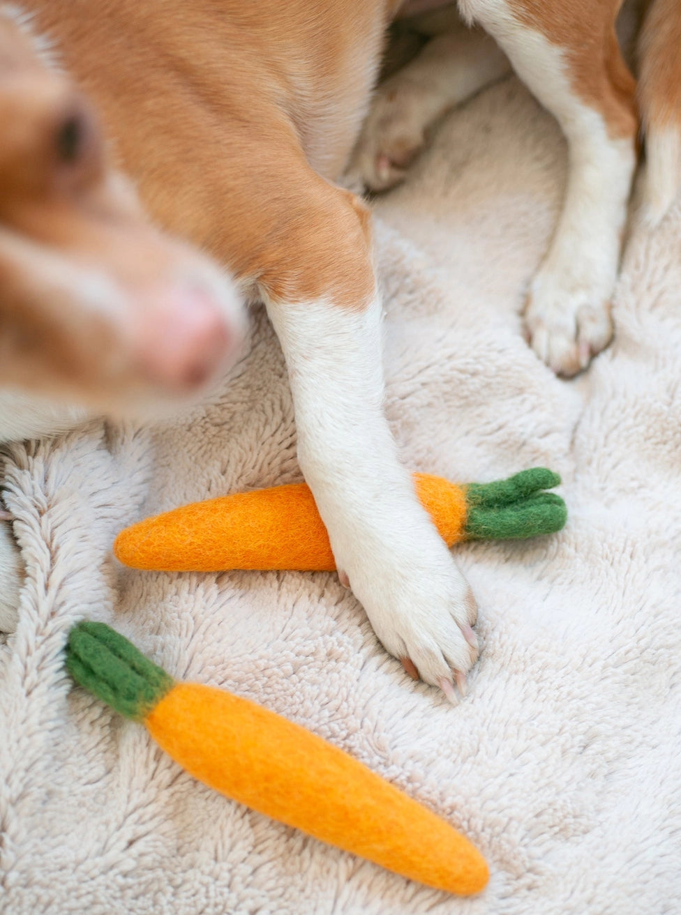 Carrot Wool Dog & Cat Toy