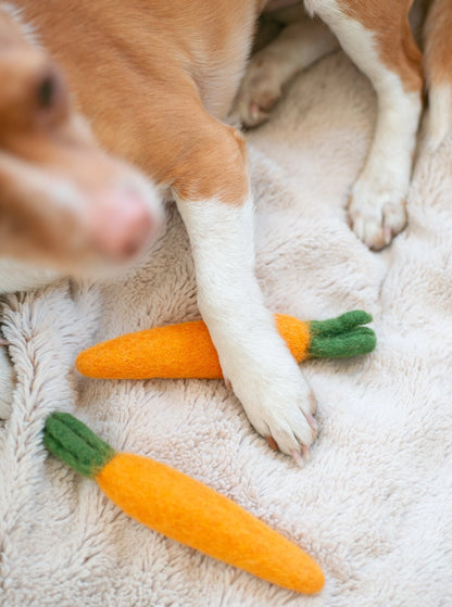 Carrot Wool Dog & Cat Toy