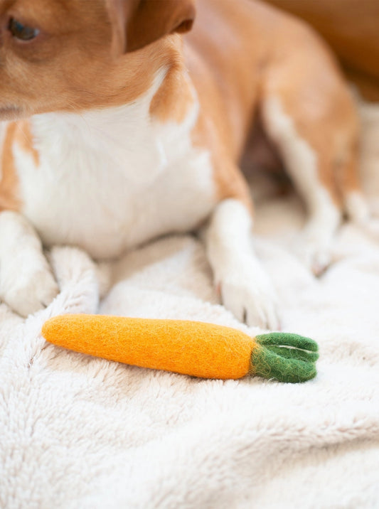 Carrot Wool Dog & Cat Toy