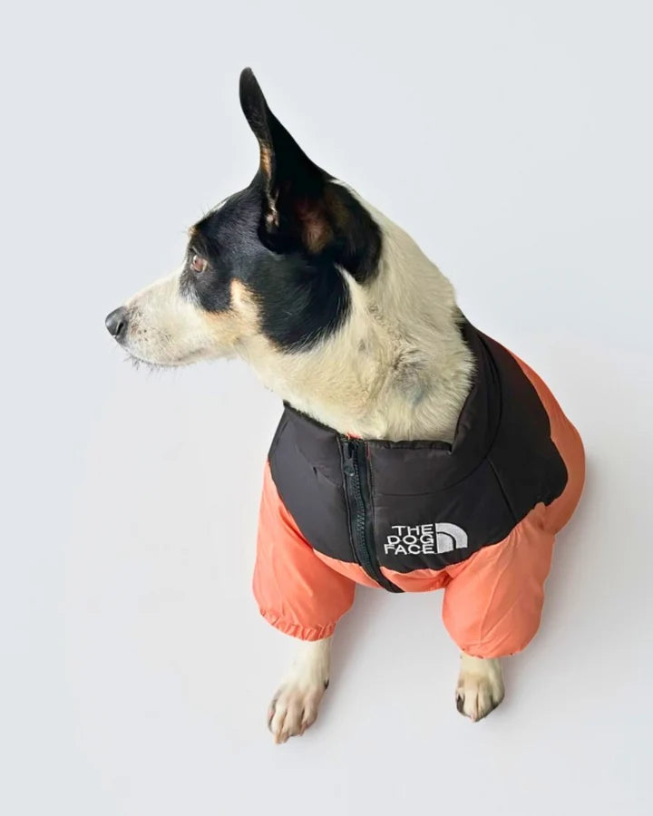 Warm Zipper Dog Jacket – Quilted Cold-Weather Puffer Coat With Elastic Cuffs For Outdoor Winter Walks