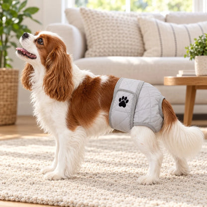 Quilted Leakproof Female Dog Diaper – Reusable Heat Cycle and Incontinence Wrap