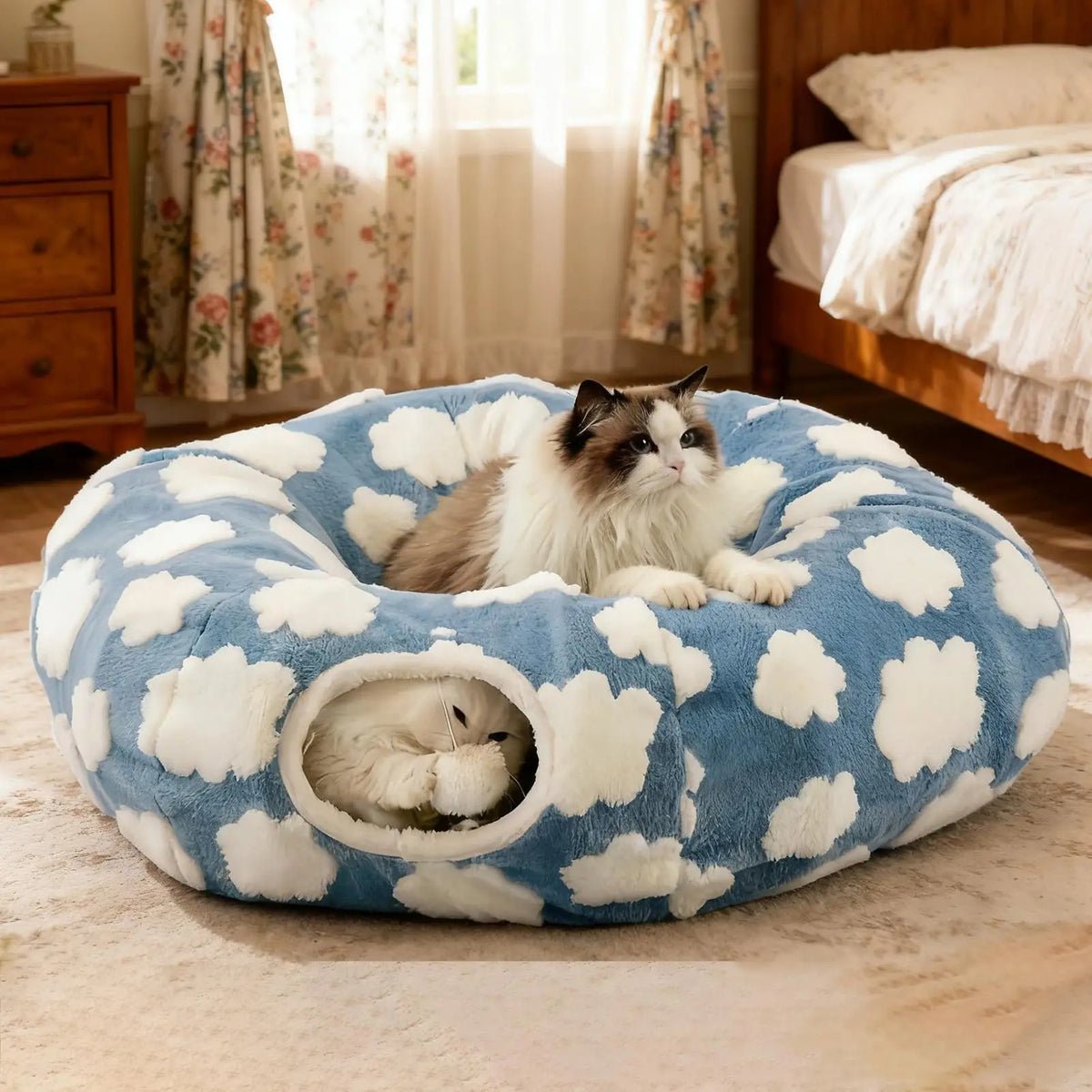 Interactive 2-in-1 Cat Tunnel Bed – Convertible Round Donut Cave with Hanging Toy Ball for Indoor Cats & Kittens