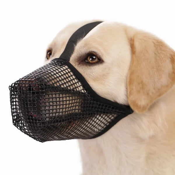 Breathable Anti-Biting Dog Muzzle – Overhead Strap Basket Guard for Safe Grooming and Scavenging Prevention