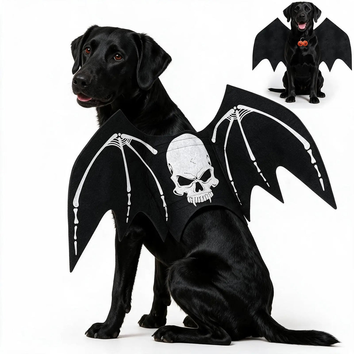 Skeleton Bat Dog Costume – Halloween Pet Wings with Pumpkin Bells for Spooky Party Dress-Up