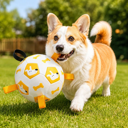 Interactive Grab-Tab Dog Soccer Ball – Backyard Fetch, Chase & Tug Toy for Active Dogs