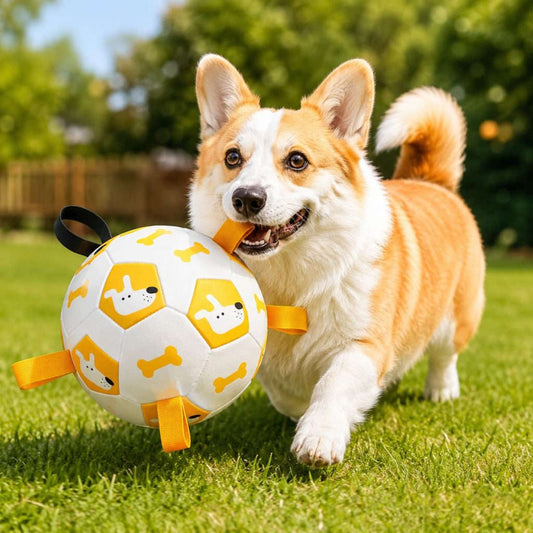 Interactive Grab-Tab Dog Soccer Ball – Backyard Fetch, Chase & Tug Toy for Active Dogs Zapawzy