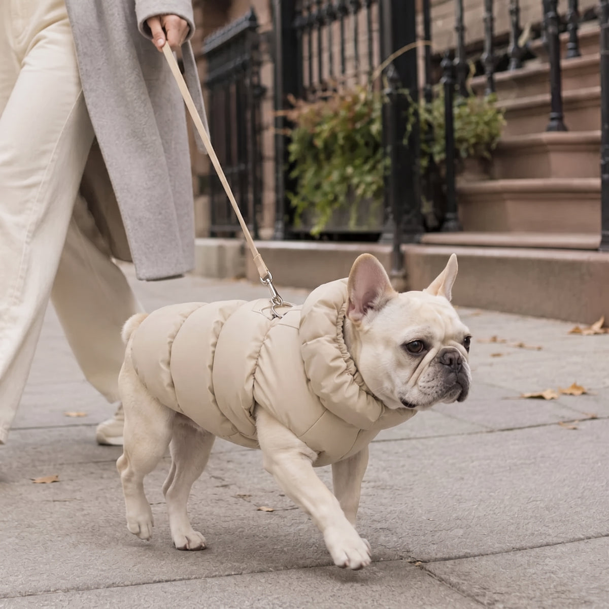 Warm Puffer Dog Coat – Integrated Leash Ring Cold-Weather Walking Vest Outfit for Small Dogs and Cats