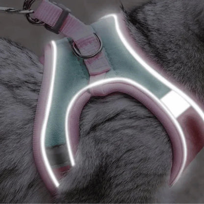 Escape-Proof Reflective Cat Harness – Adjustable Step-In Walking Vest with Matching Leash for Outdoor Safety
