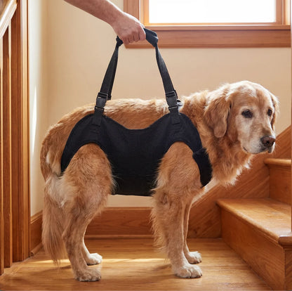Supportive Full-Body Dog Lift Harness – Mobility Aid Sling with Padded Handle for Senior Pets Walking Stairs
