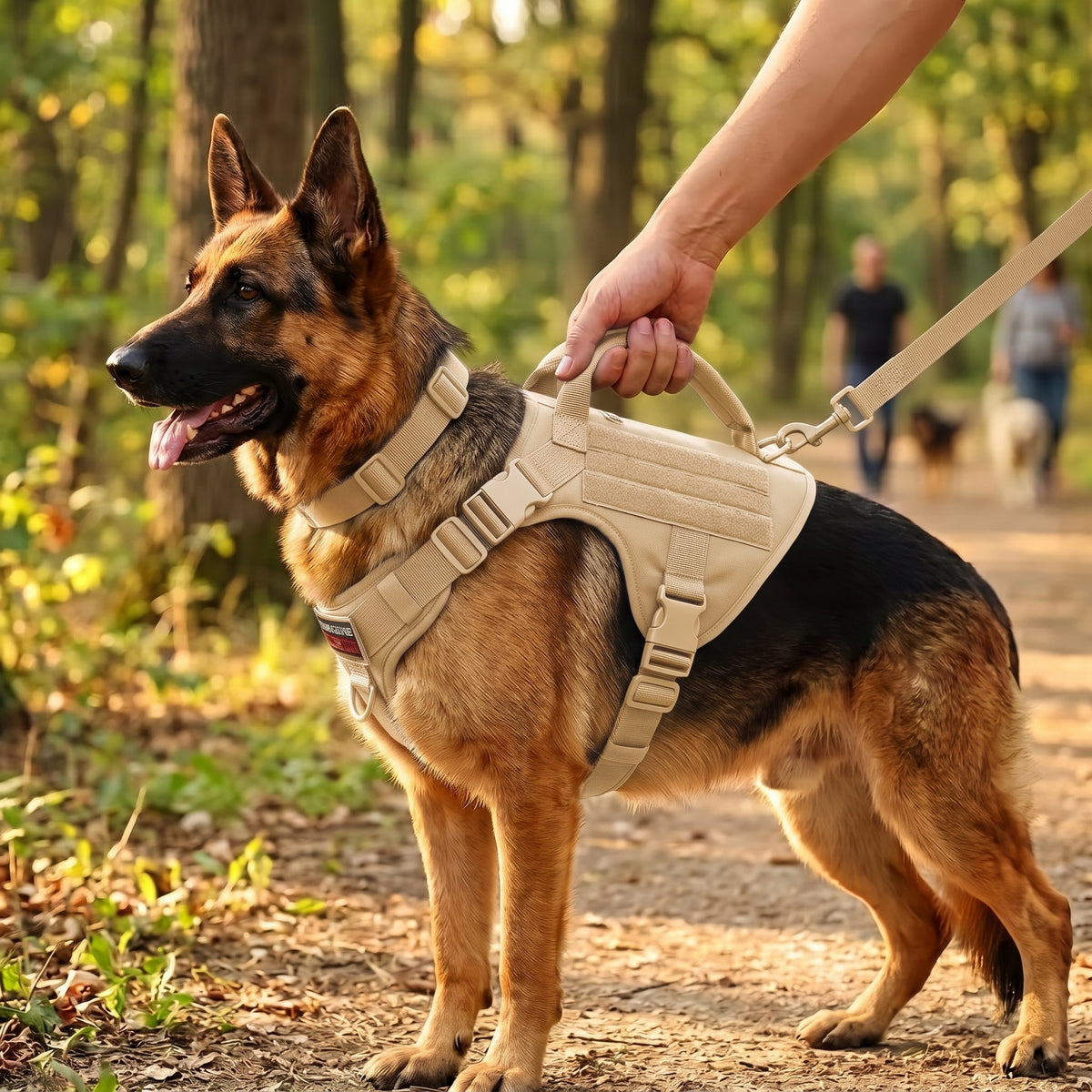 Tactical Control Dog Harness – Heavy-Duty Working Vest with Top Handle and Dual Leash Attachments