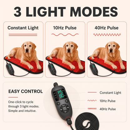Red Light Therapy Pet Mat – Near-Infrared Dual-Wavelength LED Wellness Pad with Adjustable Controller for Dogs