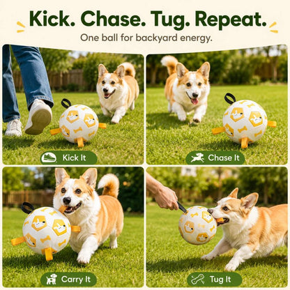 Interactive Grab-Tab Dog Soccer Ball – Backyard Fetch, Chase & Tug Toy for Active Dogs