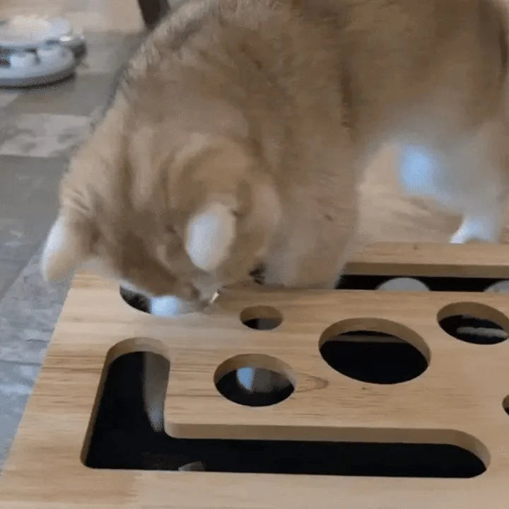 Interactive Scratching Cat Puzzle Box – Self-Grooming Claw Trimmer with Treat Foraging Enrichment