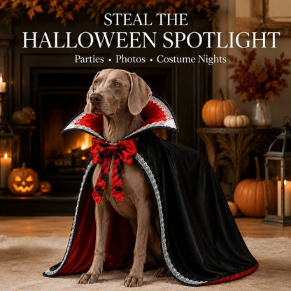 Vampire Cape Dog Halloween Costume – Dracula Cloak with Lace Trim Collar and Bat Bowknot for Parties