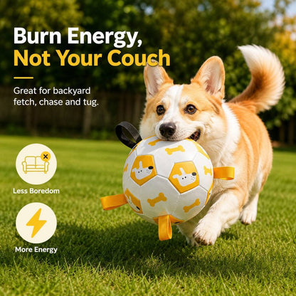 Interactive Grab-Tab Dog Soccer Ball – Backyard Fetch, Chase & Tug Toy for Active Dogs