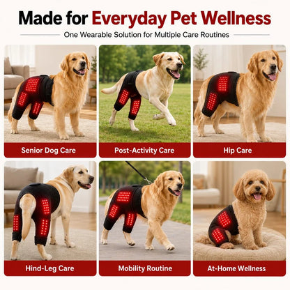 Dog Red Light Therapy Wrap – Adjustable Hip and Joint Recovery Brace for Targeted Circulation Support