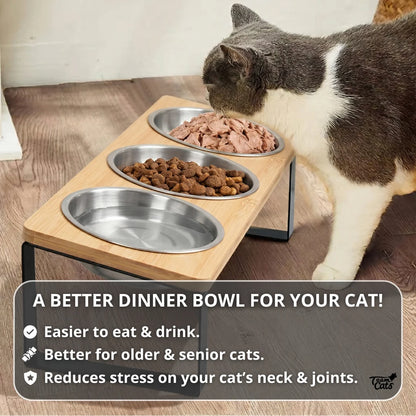 Elevated Tilted Cat Feeder – 3-Bowl Neck-Protection Food and Water Station with Spill-Proof Mat
