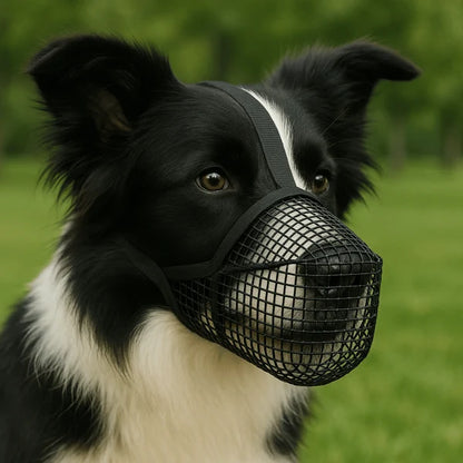 Breathable Anti-Biting Dog Muzzle – Overhead Strap Basket Guard for Safe Grooming and Scavenging Prevention