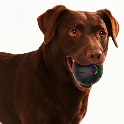 Interactive Bouncing Dog Ball – USB-Rechargeable Automatic Rolling Toy with Obstacle-Avoidance LED Lights