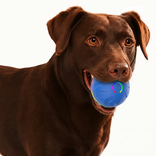 Interactive Bouncing Dog Ball – USB-Rechargeable Automatic Rolling Toy with Obstacle-Avoidance LED Lights