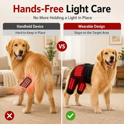 Dog Red Light Therapy Wrap – Adjustable Hip and Joint Recovery Brace for Targeted Circulation Support