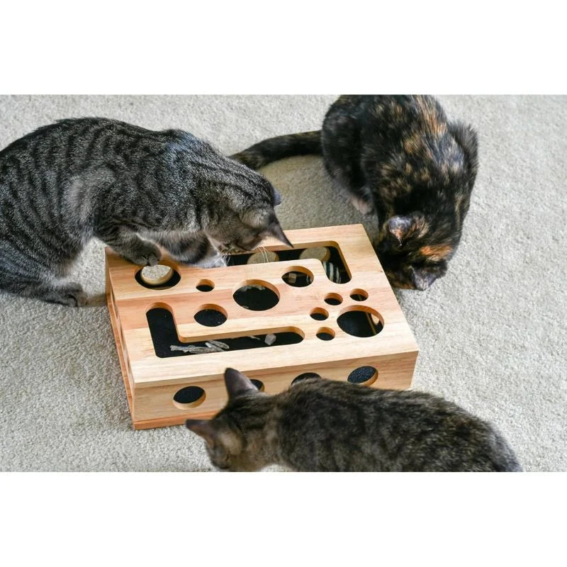 Interactive Scratching Cat Puzzle Box – Self-Grooming Claw Trimmer with Treat Foraging Enrichment