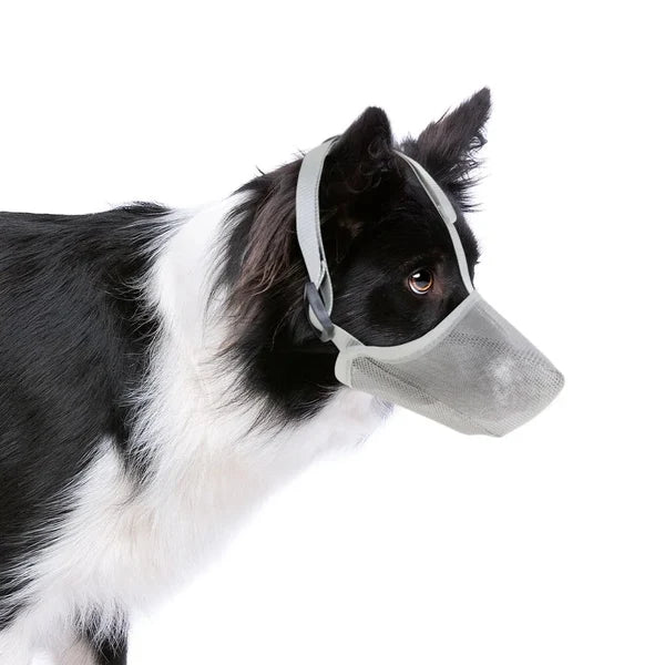 Breathable Anti-Biting Dog Muzzle – Overhead Strap Basket Guard for Safe Grooming and Scavenging Prevention