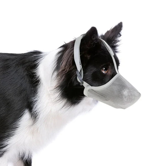 Breathable Anti-Biting Dog Muzzle – Overhead Strap Basket Guard for Safe Grooming and Scavenging Prevention