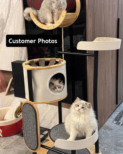 Fawlo Modern Multi-Level Cat Tree – Indoor Pet Furniture Tower with Enclosed Condo, Curved Top Perch, Dangling Toy Ball and Scratching Board