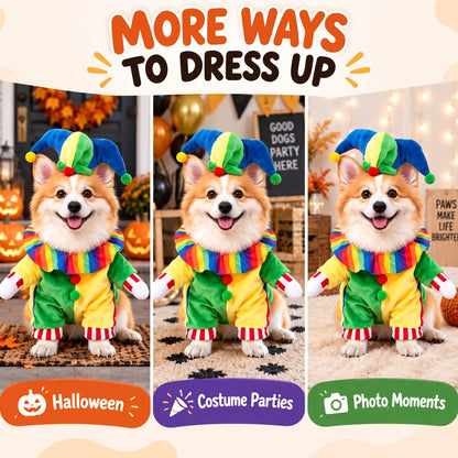 Jester Clown Dog Costume – Funny Halloween Pet Outfit with Jester Hat and Rainbow Ruffle Collar