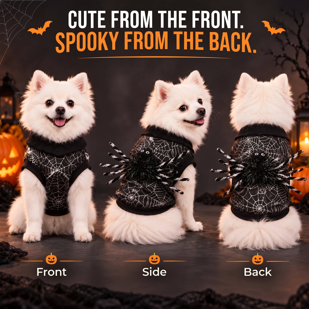 Spiderweb 3D-Spider Dog Costume – Cute Spooky Halloween Puppy Outfit for Holiday Parties and Photo Shoots