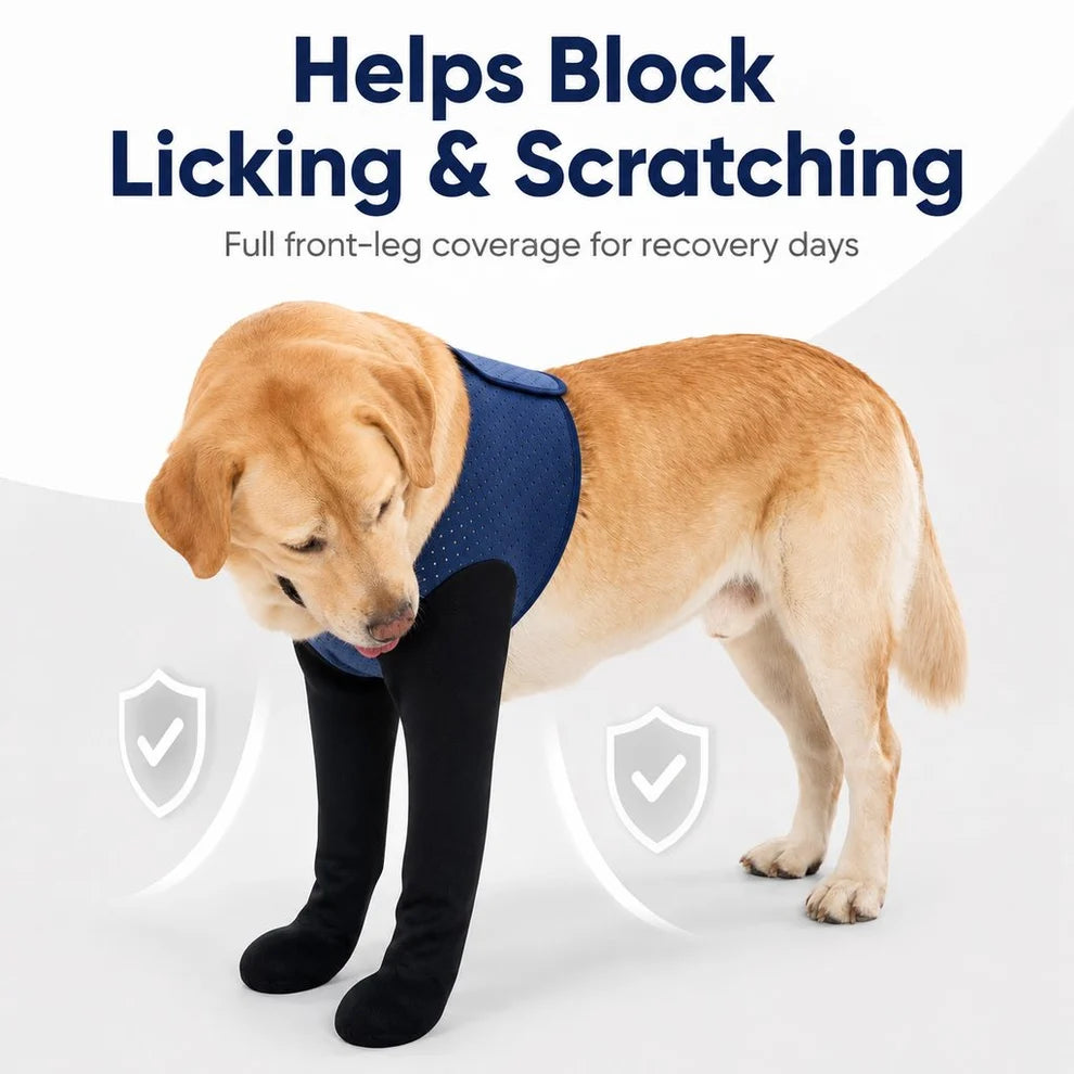 Supportive Front Leg Dog Brace – Dual Sleeve Recovery Wrap for Joint Stability and Wound Protection