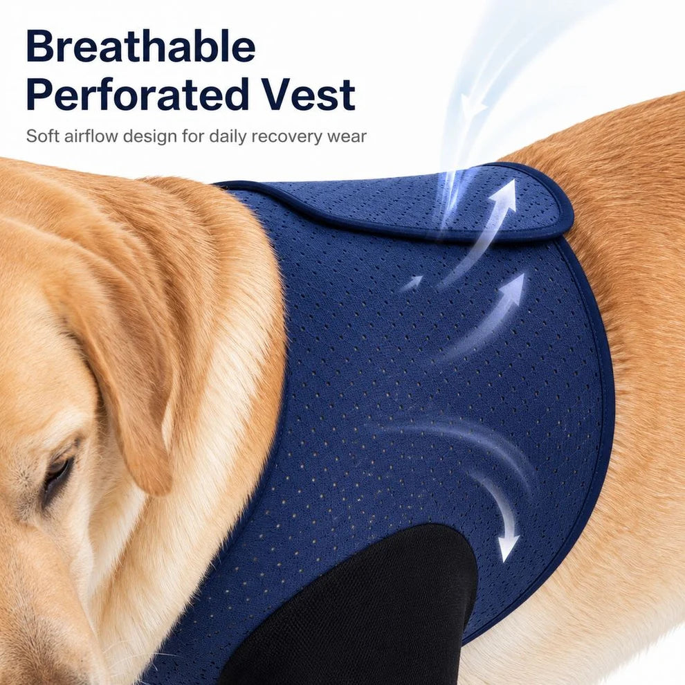 Supportive Front Leg Dog Brace – Dual Sleeve Recovery Wrap for Joint Stability and Wound Protection