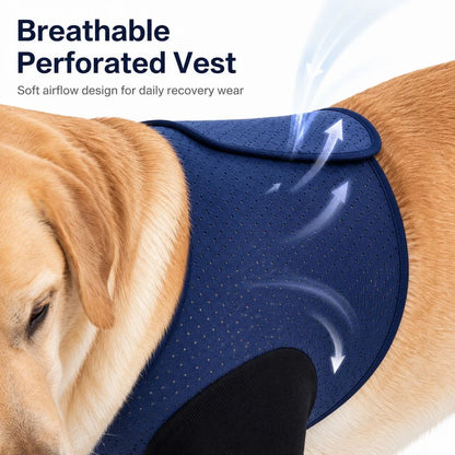 Supportive Front Leg Dog Brace – Dual Sleeve Recovery Wrap for Joint Stability and Wound Protection