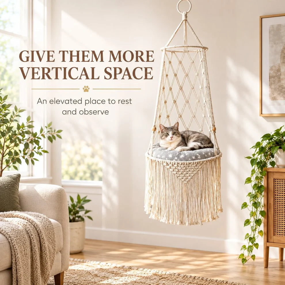 Cozy Hanging Cat Bed – Elevated Indoor Hammock Perch with Star-Pattern Cushion