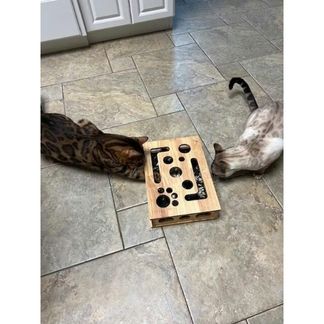 Interactive Scratching Cat Puzzle Box – Self-Grooming Claw Trimmer with Treat Foraging Enrichment