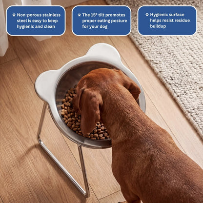 Ergonomic Tilted Elevated Dog Bowl – Raised Stand Feeder For Better Digestion And Neck Spine Relief