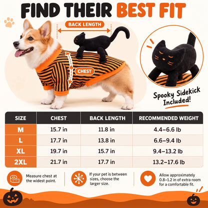 Cat Rider Halloween Dog Costume – Striped Orange-and-Black Pullover Outfit for Trick-or-Treating and Pet Parties
