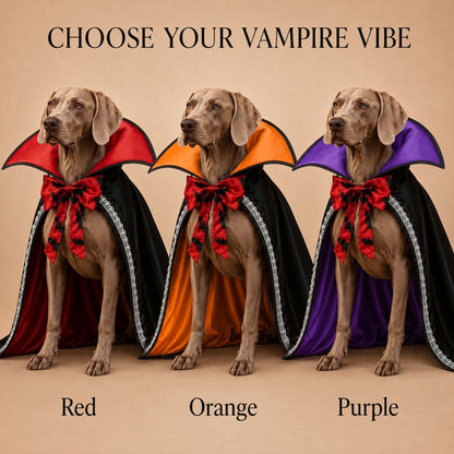 Vampire Cape Dog Halloween Costume – Dracula Cloak with Lace Trim Collar and Bat Bowknot for Parties