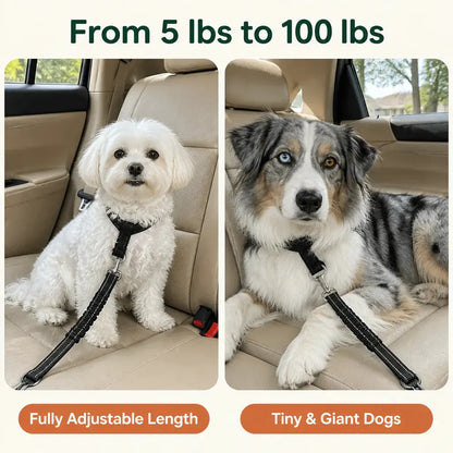 Shock-Absorbing Dog Car Seatbelt – Bungee Vehicle Safety Tether with Reflective Headrest Restraint Strap and Swivel Hook
