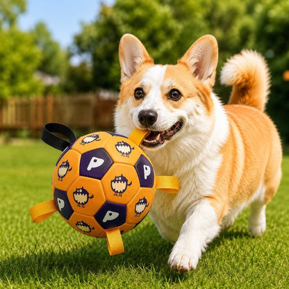 Interactive Grab-Tab Dog Soccer Ball – Backyard Fetch, Chase & Tug Toy for Active Dogs