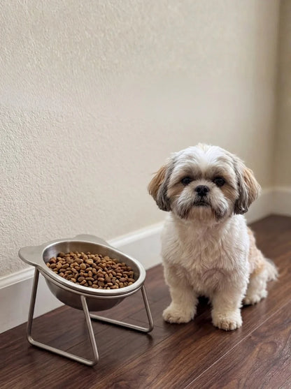 Ergonomic Tilted Elevated Dog Bowl – Raised Stand Feeder For Better Digestion And Neck Spine Relief